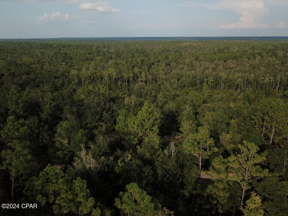 Tbd Chason Road Marianna, FL 32448 - Photo 7 of 16 Gallery Image 7