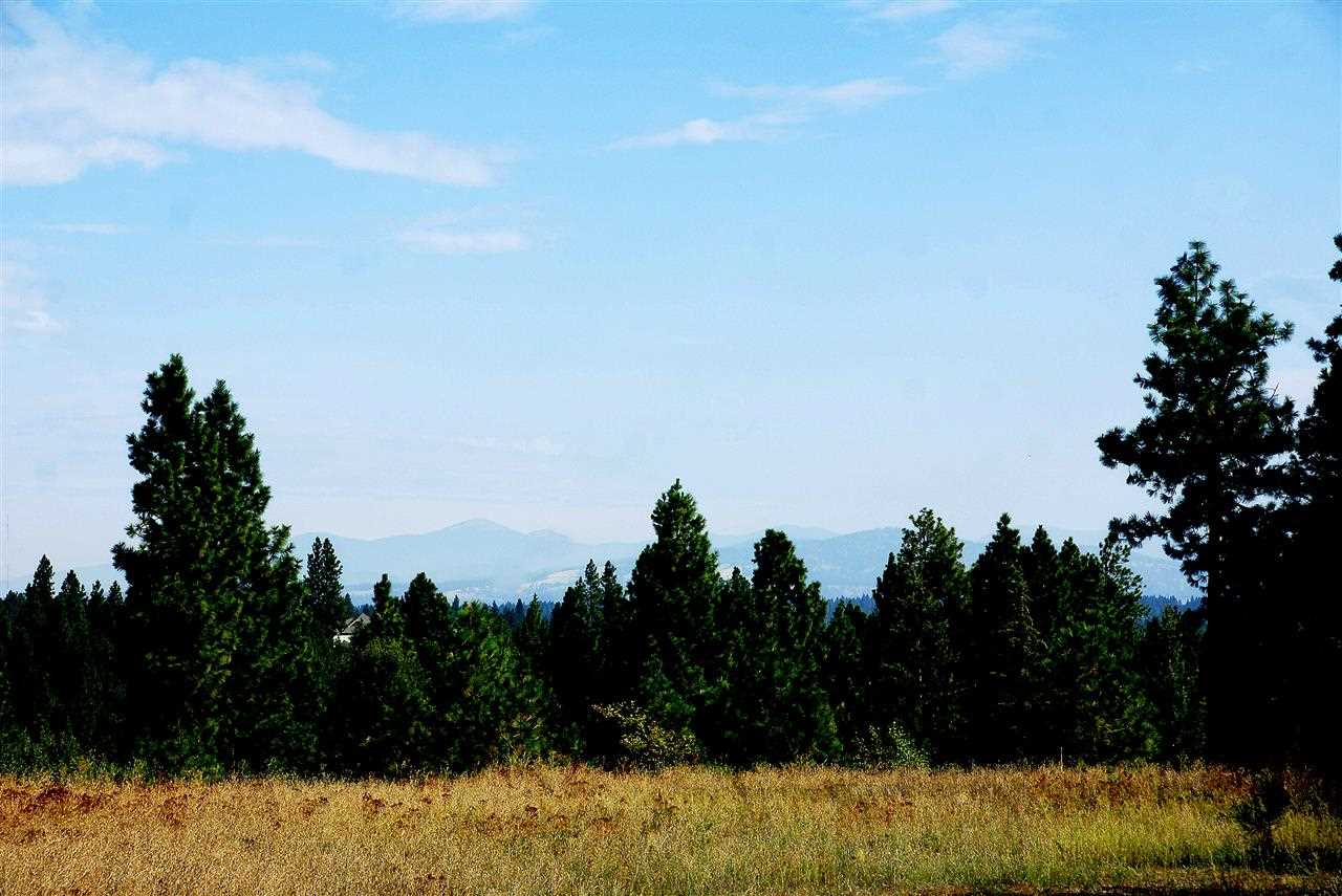 Nna West Hallett Road Spokane, WA 99206 - Photo 1 of 7 Gallery Image 1