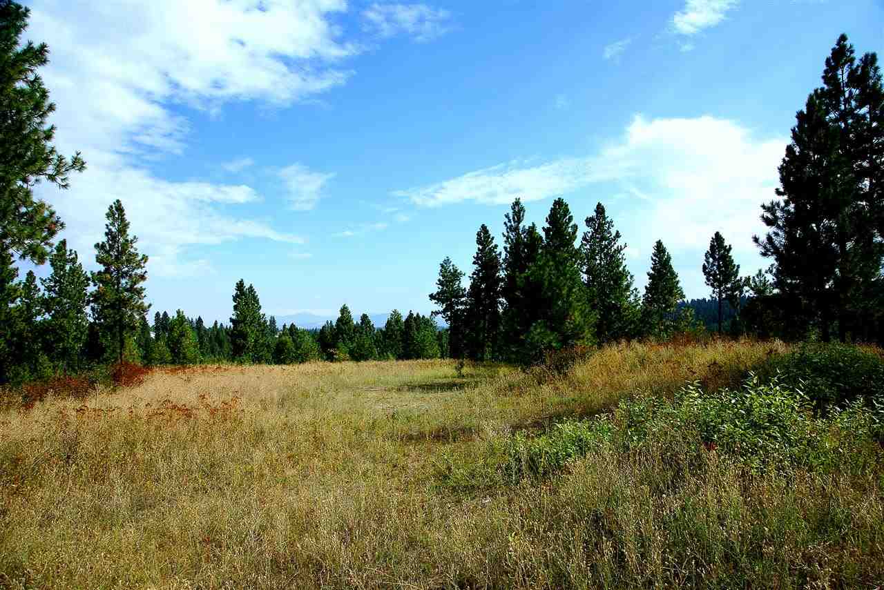Nna West Hallett Road Spokane, WA 99206 - Photo 2 of 7 Gallery Image 2