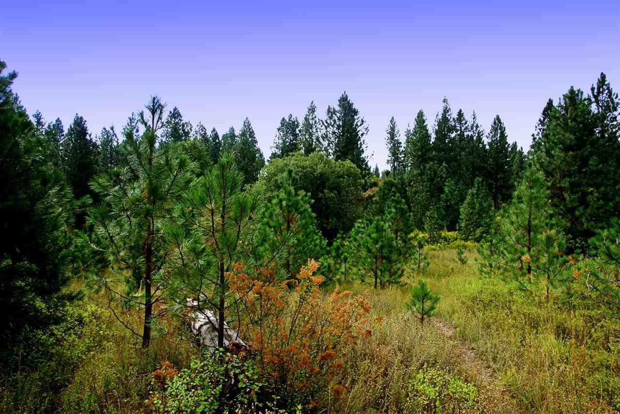 Nna West Hallett Road Spokane, WA 99206 - Photo 4 of 7 Gallery Image 4