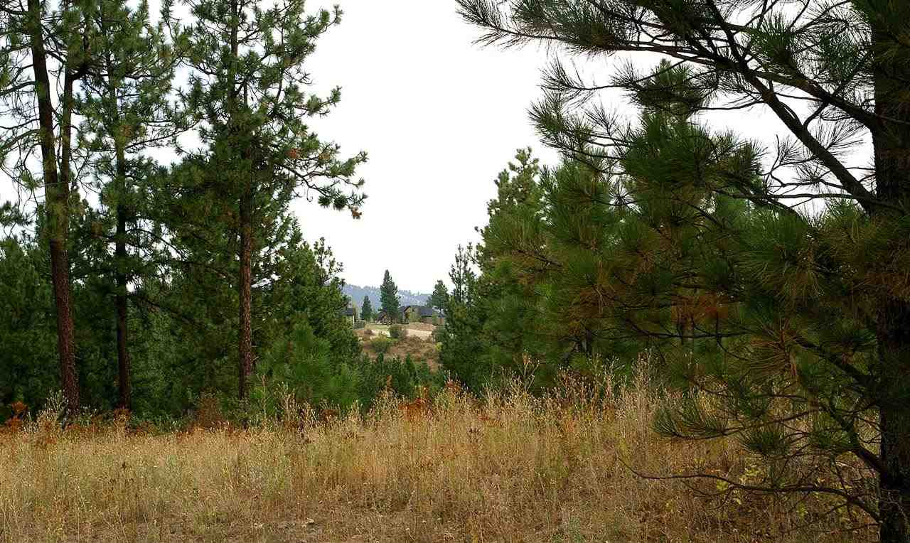 Nna West Hallett Road Spokane, WA 99206 - Photo 6 of 7 Gallery Image 6