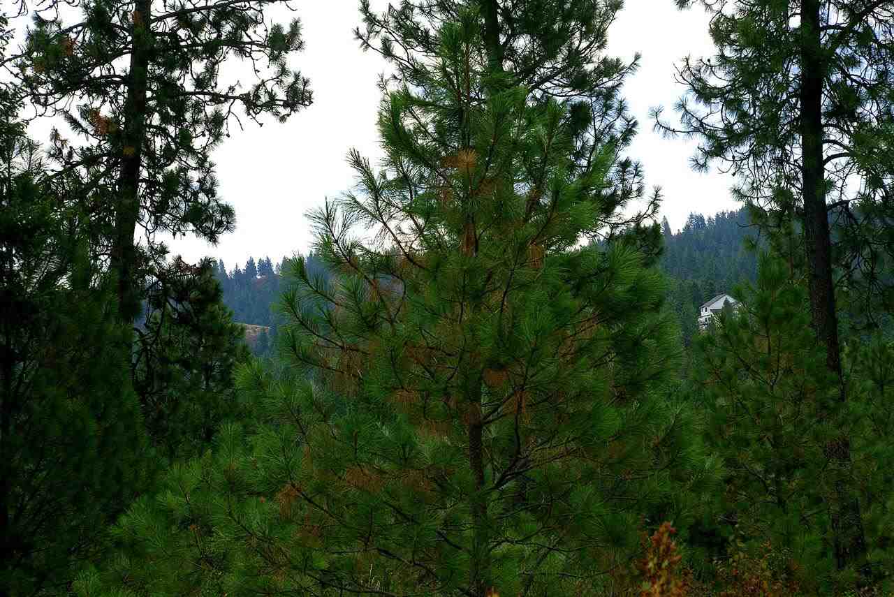 Nna West Hallett Road Spokane, WA 99206 - Photo 7 of 7 Gallery Image 7