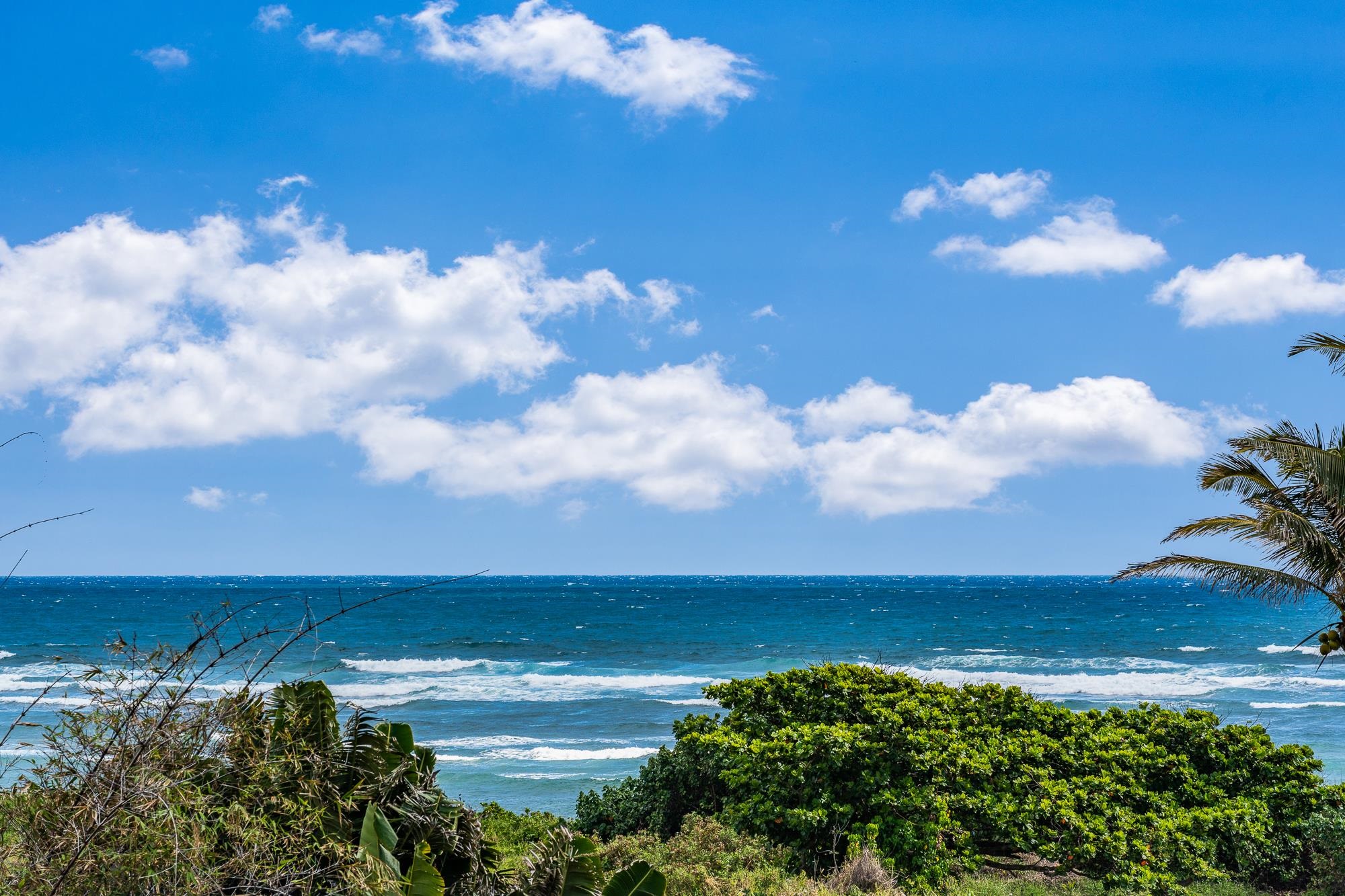 a view of a city with lots of green space