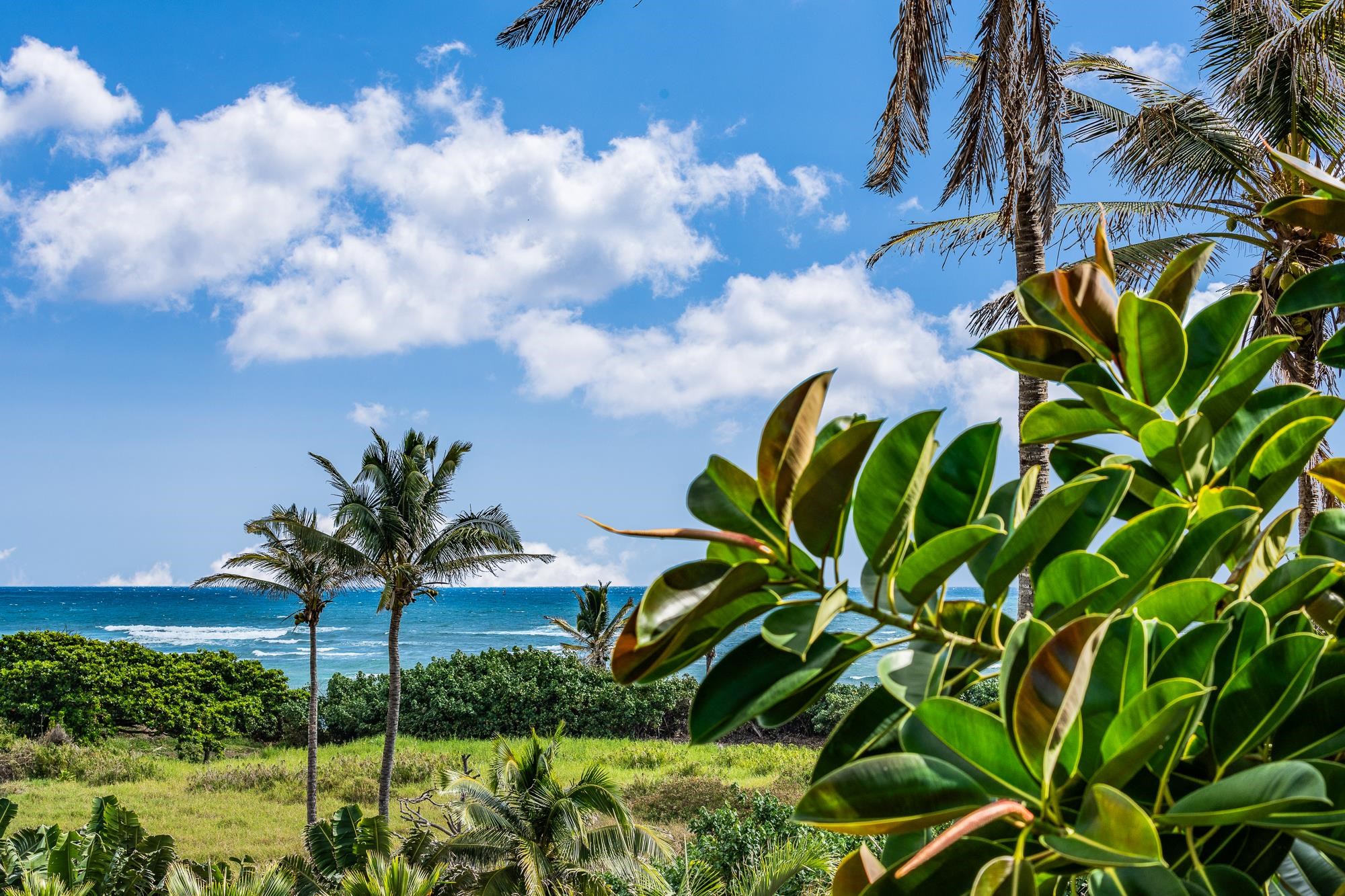 658 Waiehu Beach Road Wailuku, HI 96793 - Photo 29 of 36