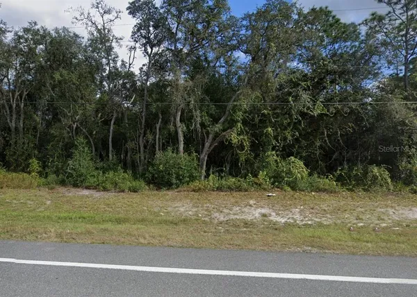 $26,900 | 7446 Treiman Boulevard, Webster, FL 33597