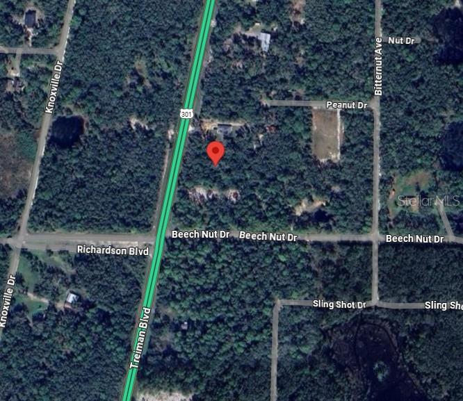 7446 Treiman Boulevard Webster, FL 33597 - Photo 4 of 5 a bird view of a house