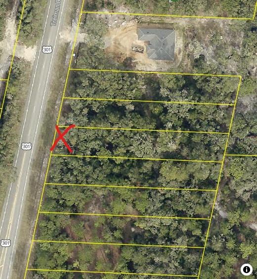 7446 Treiman Boulevard Webster, FL 33597 - Photo 5 of 5 a bathroom with a shower