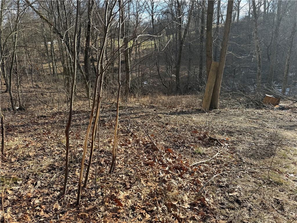 46 Simon Road Cheswick, PA 15024 - Photo 9 of 32 Buck Rubs!