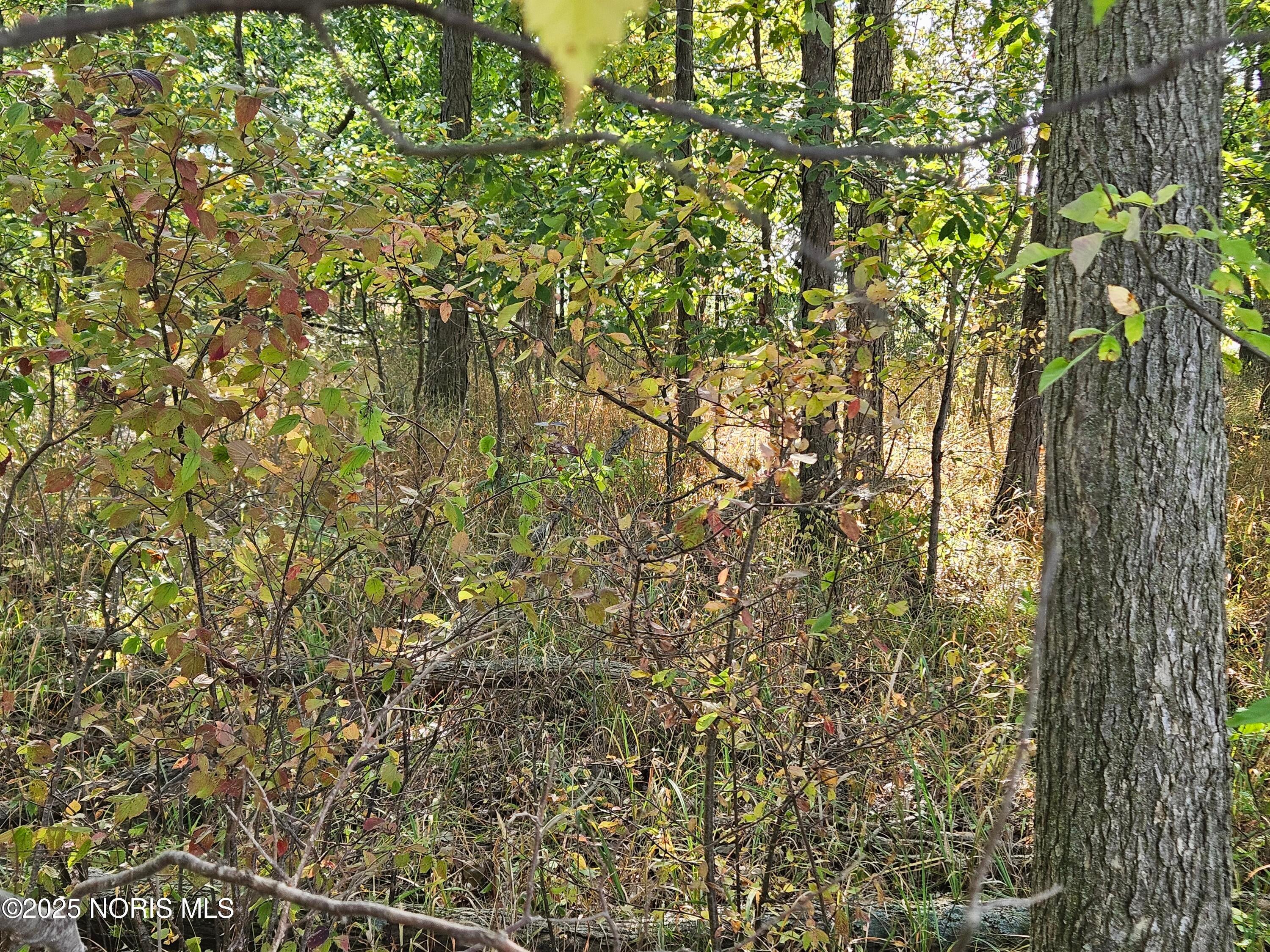18 County Road East Bryan, OH 43506 - Photo 4 of 5 20250917_110839