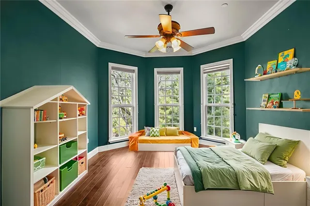 a view of a park with plants and trees