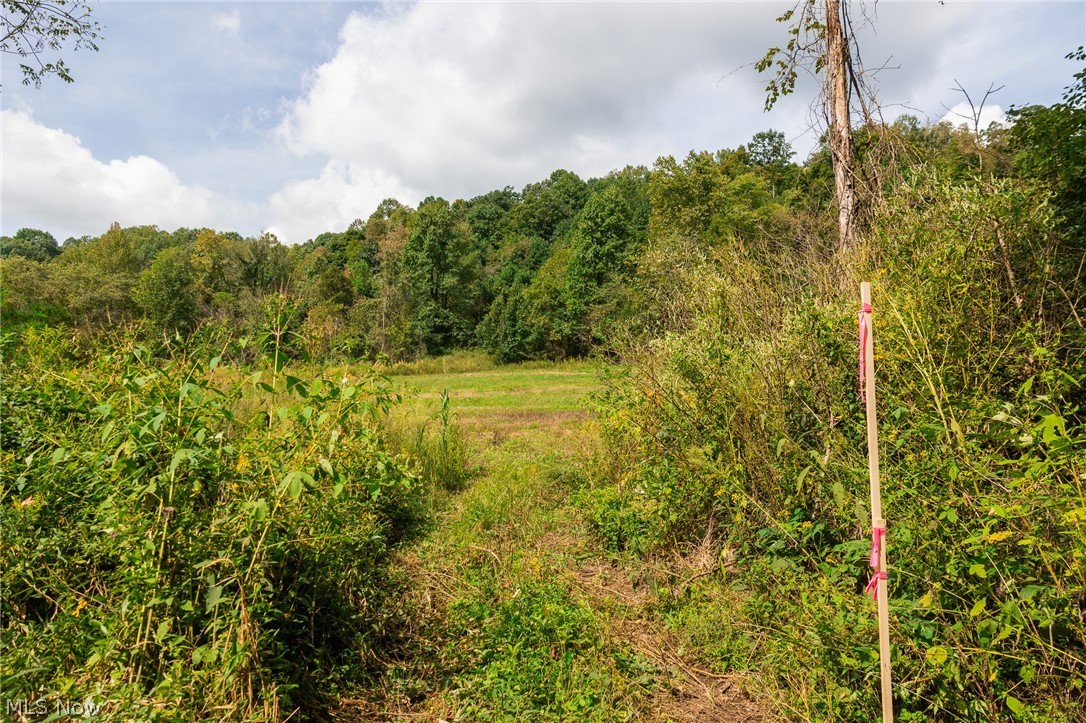 37500 Goose Run Road Dexter City, OH 45727 - Photo 14 of 50 Gallery Image 14