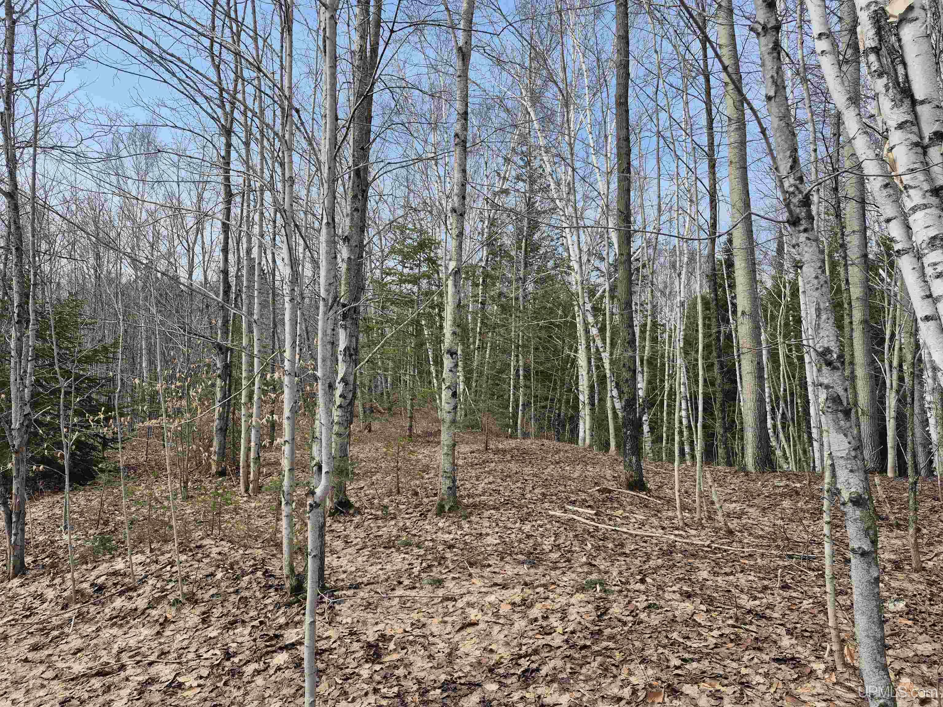 East 20 Quarry Road Gulliver, MI 49840 - Photo 19 of 47