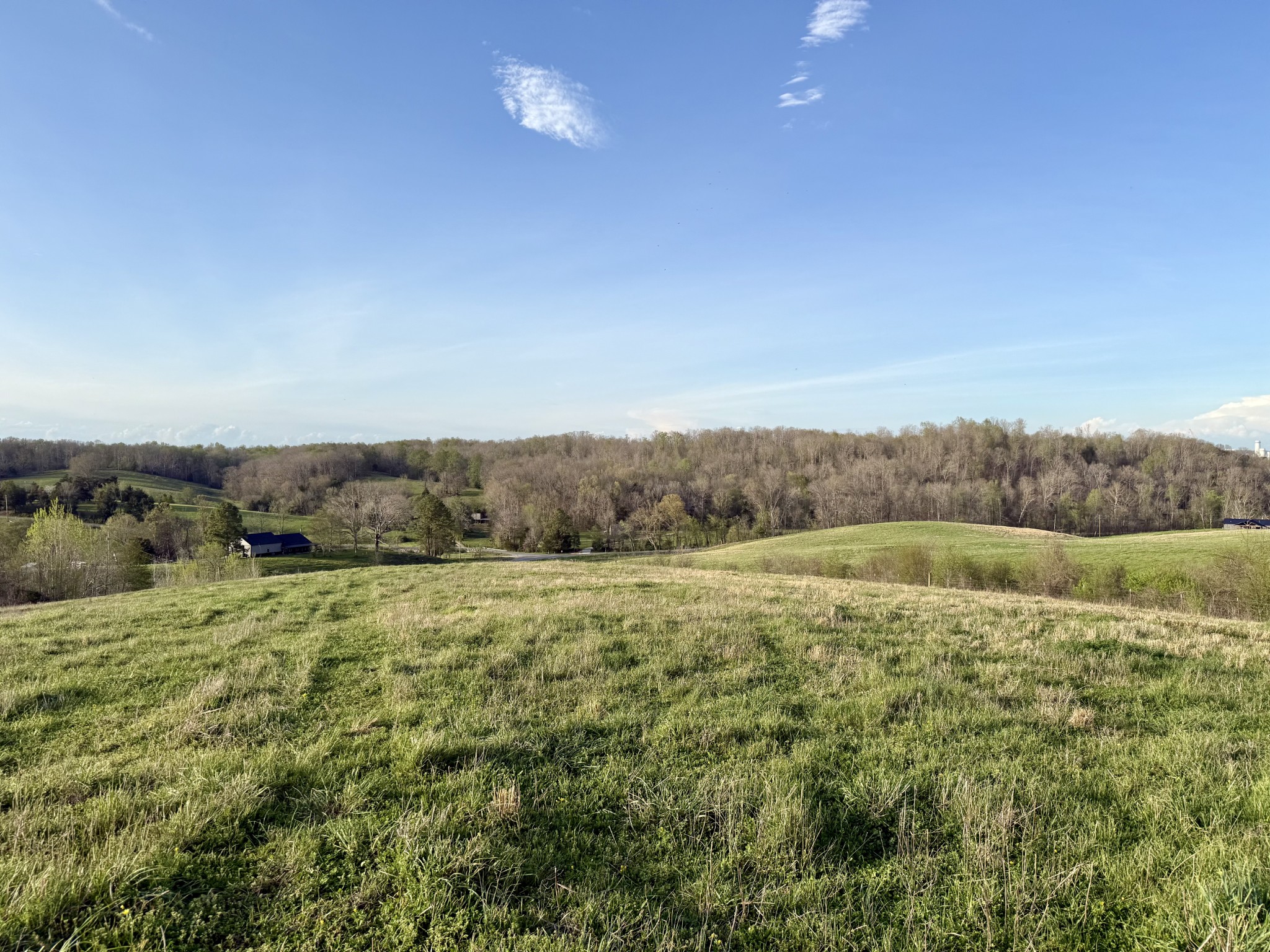 0 Brigham Branch Road Erin, TN 37061 - Photo 11 of 22