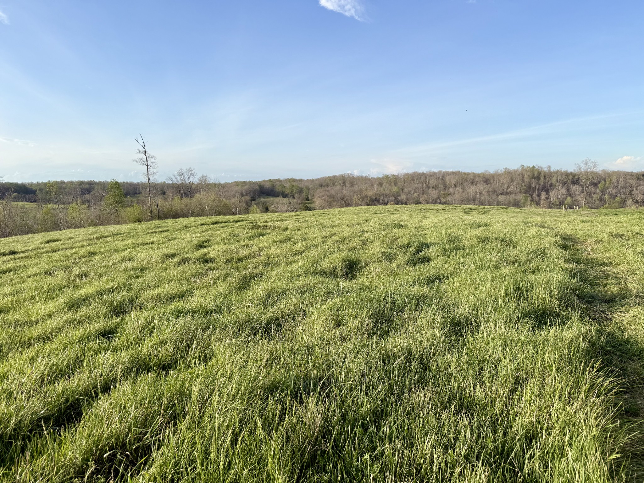 0 Brigham Branch Road Erin, TN 37061 - Photo 12 of 22