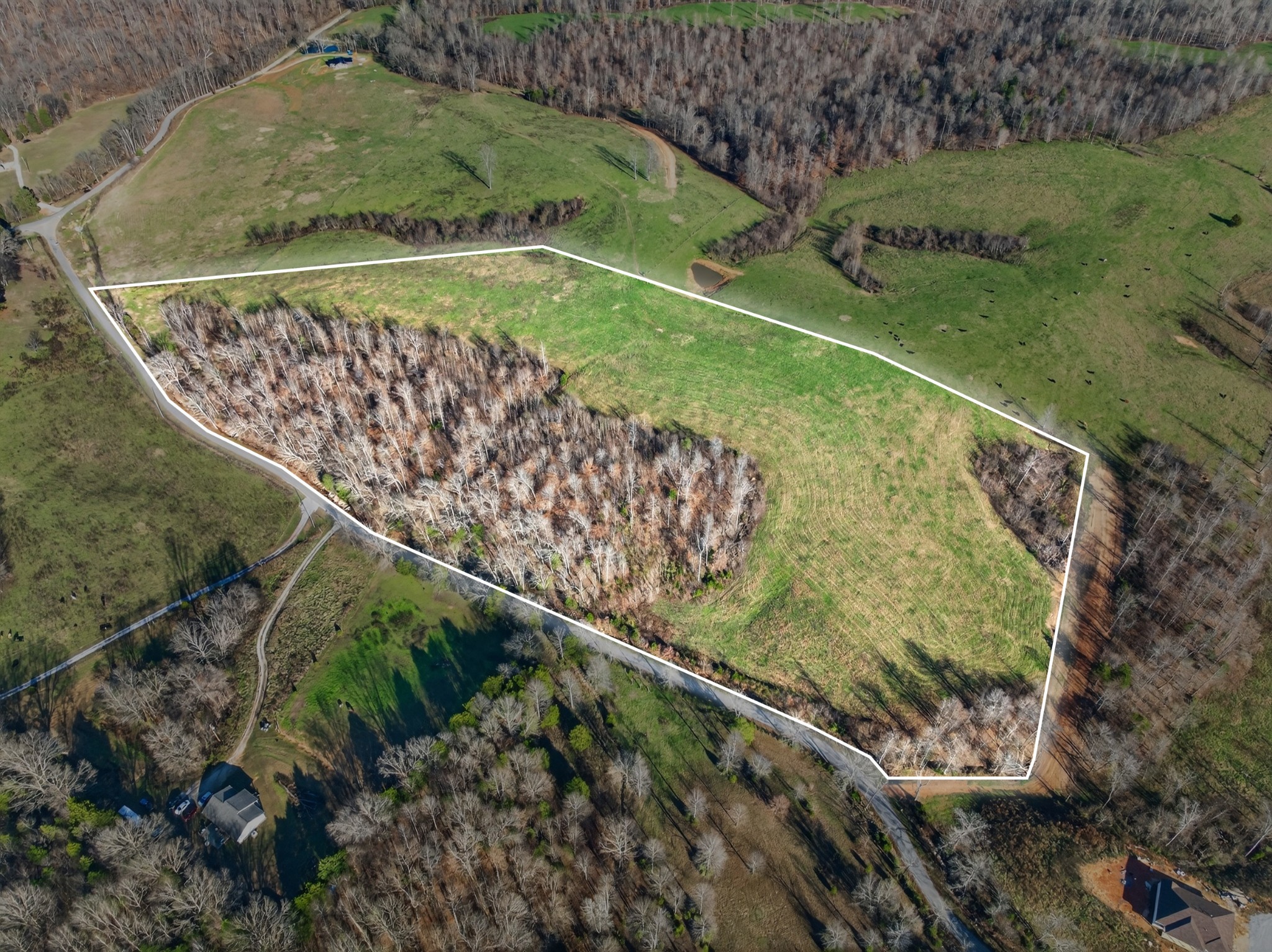 0 Brigham Branch Road Erin, TN 37061 - Photo 13 of 22