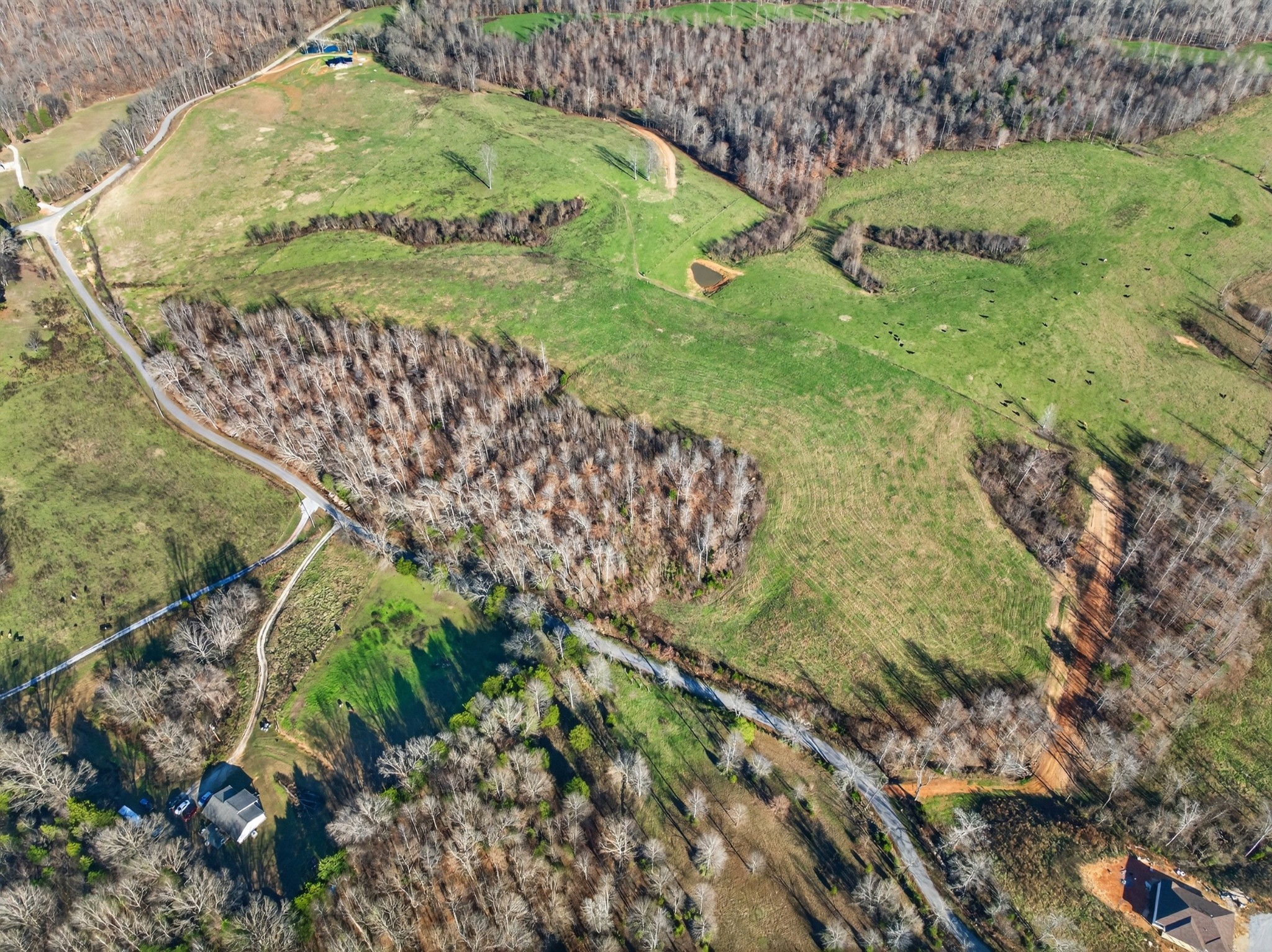 0 Brigham Branch Road Erin, TN 37061 - Photo 14 of 22