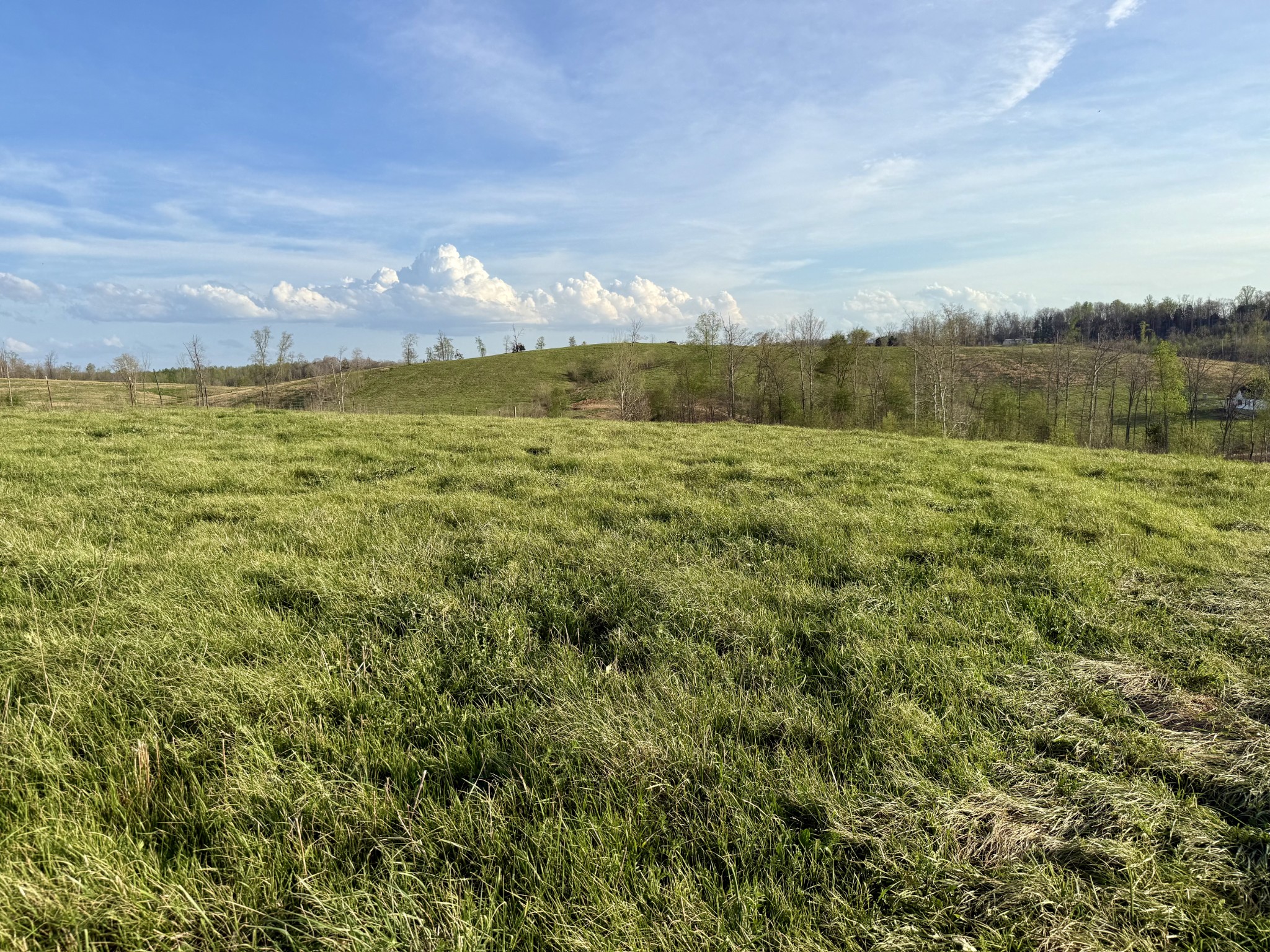 0 Brigham Branch Road Erin, TN 37061 - Photo 18 of 22