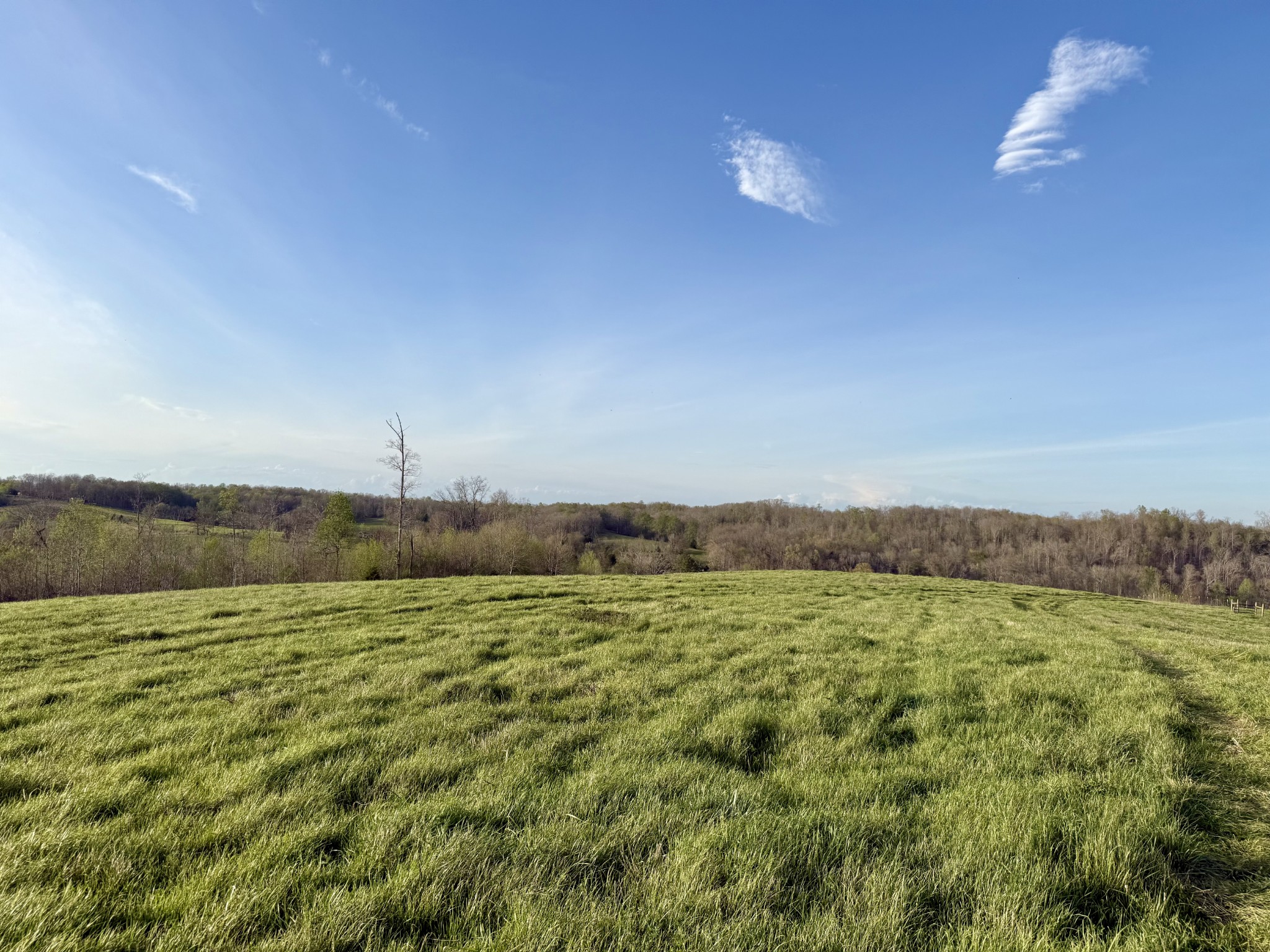 0 Brigham Branch Road Erin, TN 37061 - Photo 19 of 22