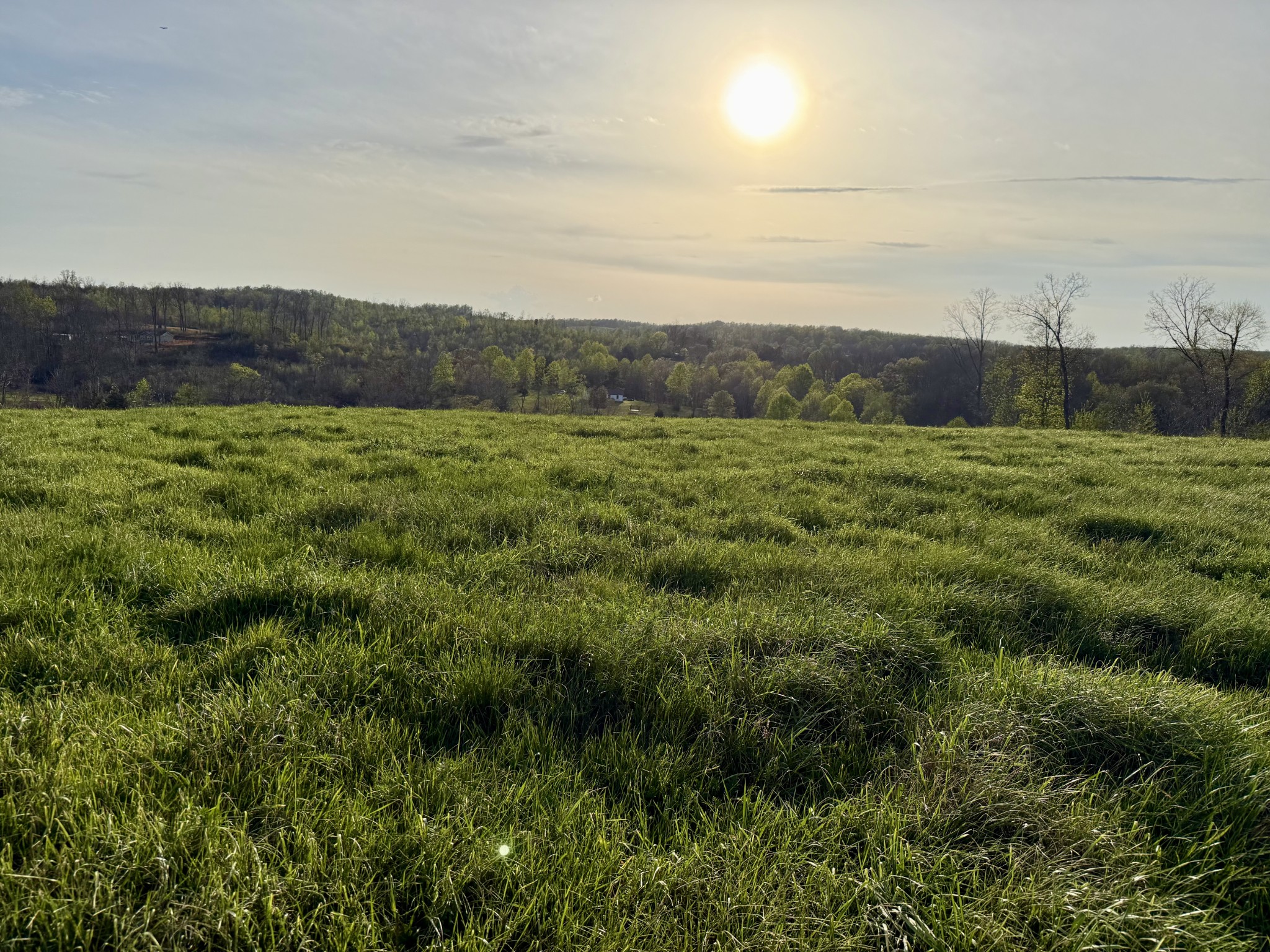 0 Brigham Branch Road Erin, TN 37061 - Photo 4 of 22