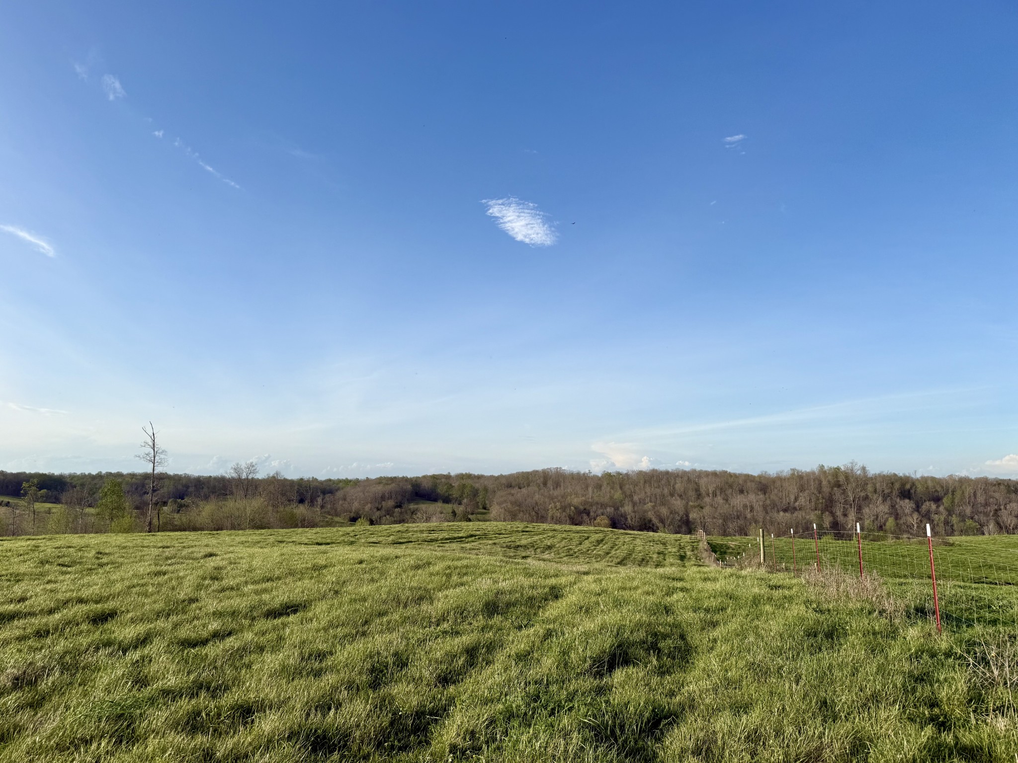 0 Brigham Branch Road Erin, TN 37061 - Photo 5 of 22