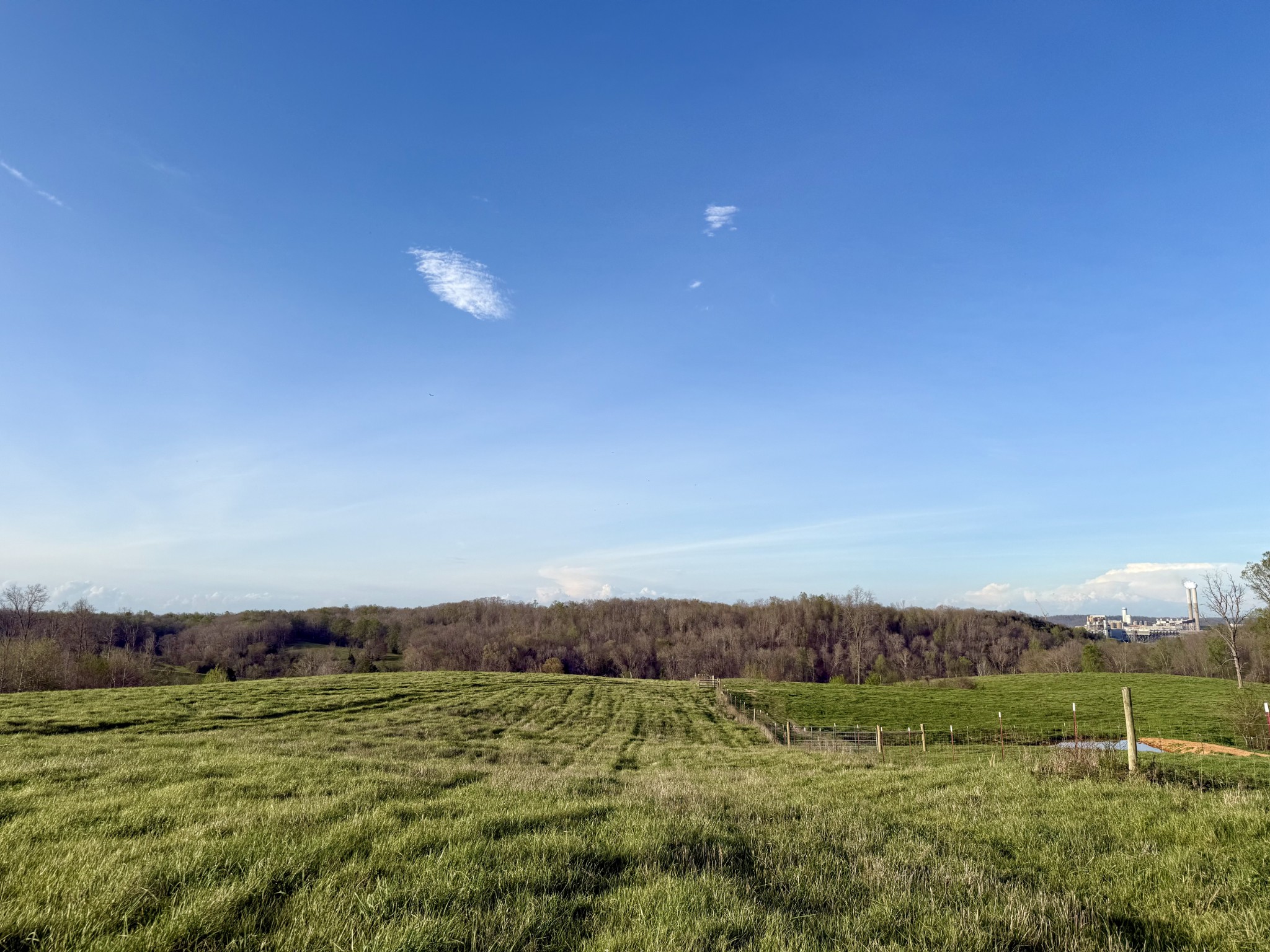 0 Brigham Branch Road Erin, TN 37061 - Photo 6 of 22