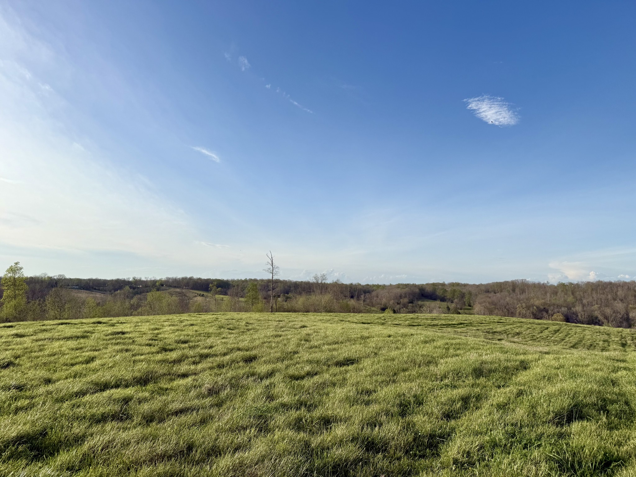 0 Brigham Branch Road Erin, TN 37061 - Photo 7 of 22