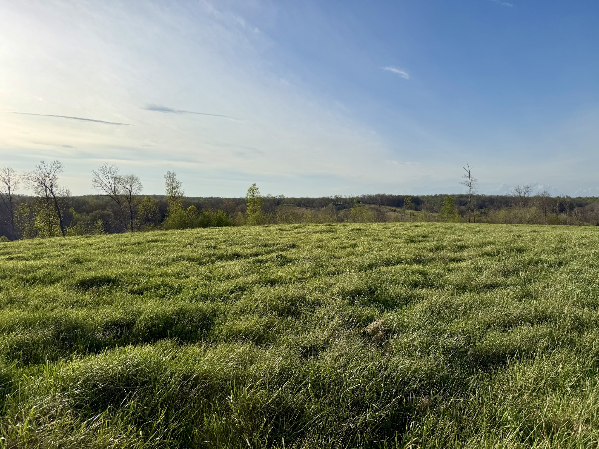 0 Brigham Branch Road Erin, TN 37061 - Photo 8 of 22