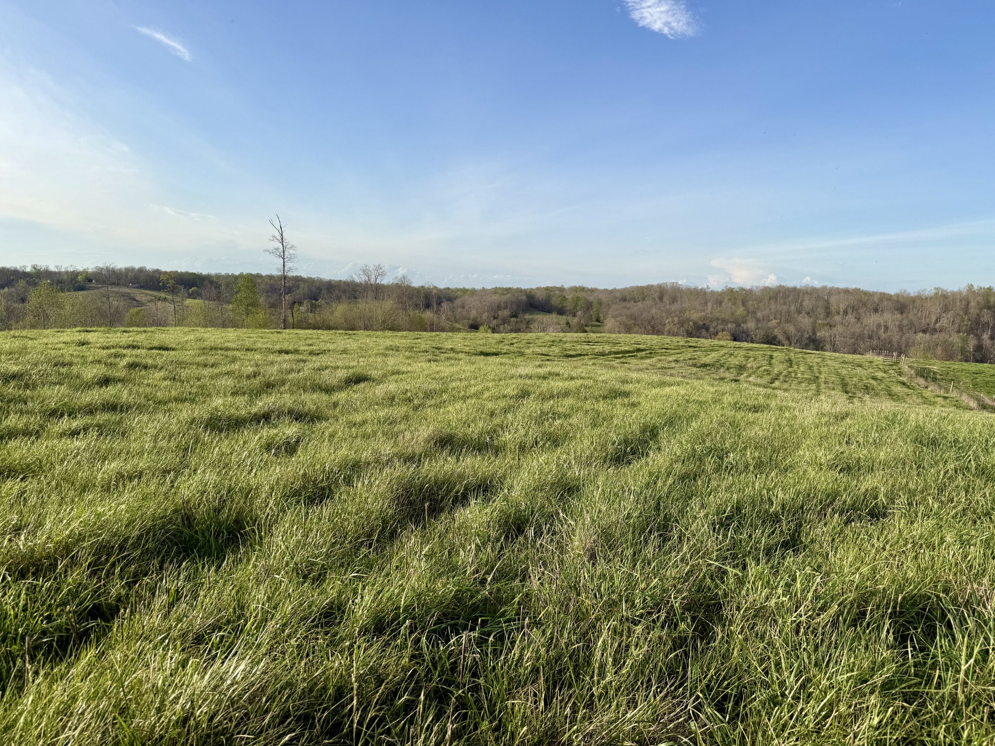 0 Brigham Branch Road Erin, TN 37061 - Photo 9 of 22
