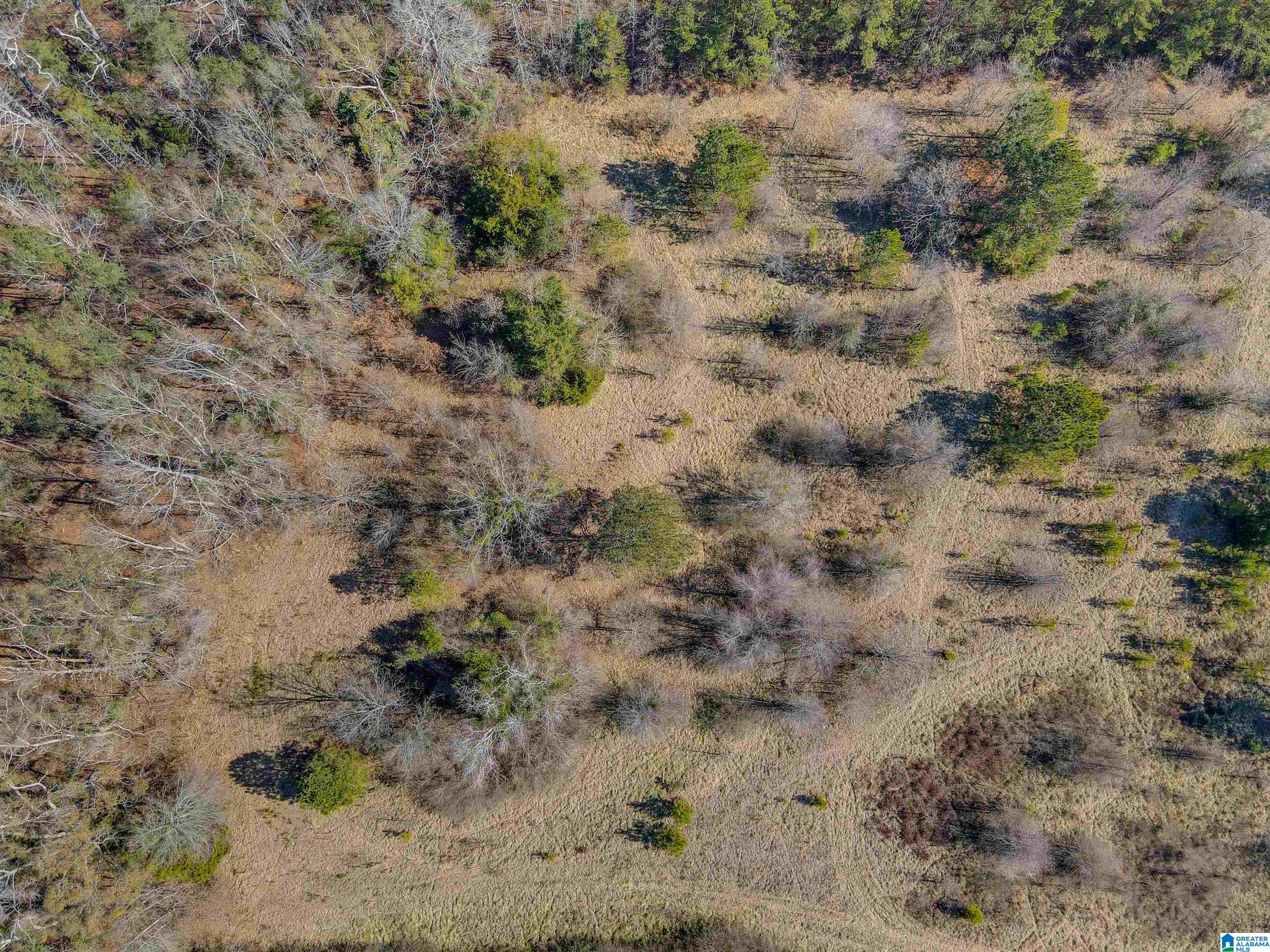 807 Yellow Leaf Road, Unit 1 Clanton, AL 35045 - Photo 9 of 18
