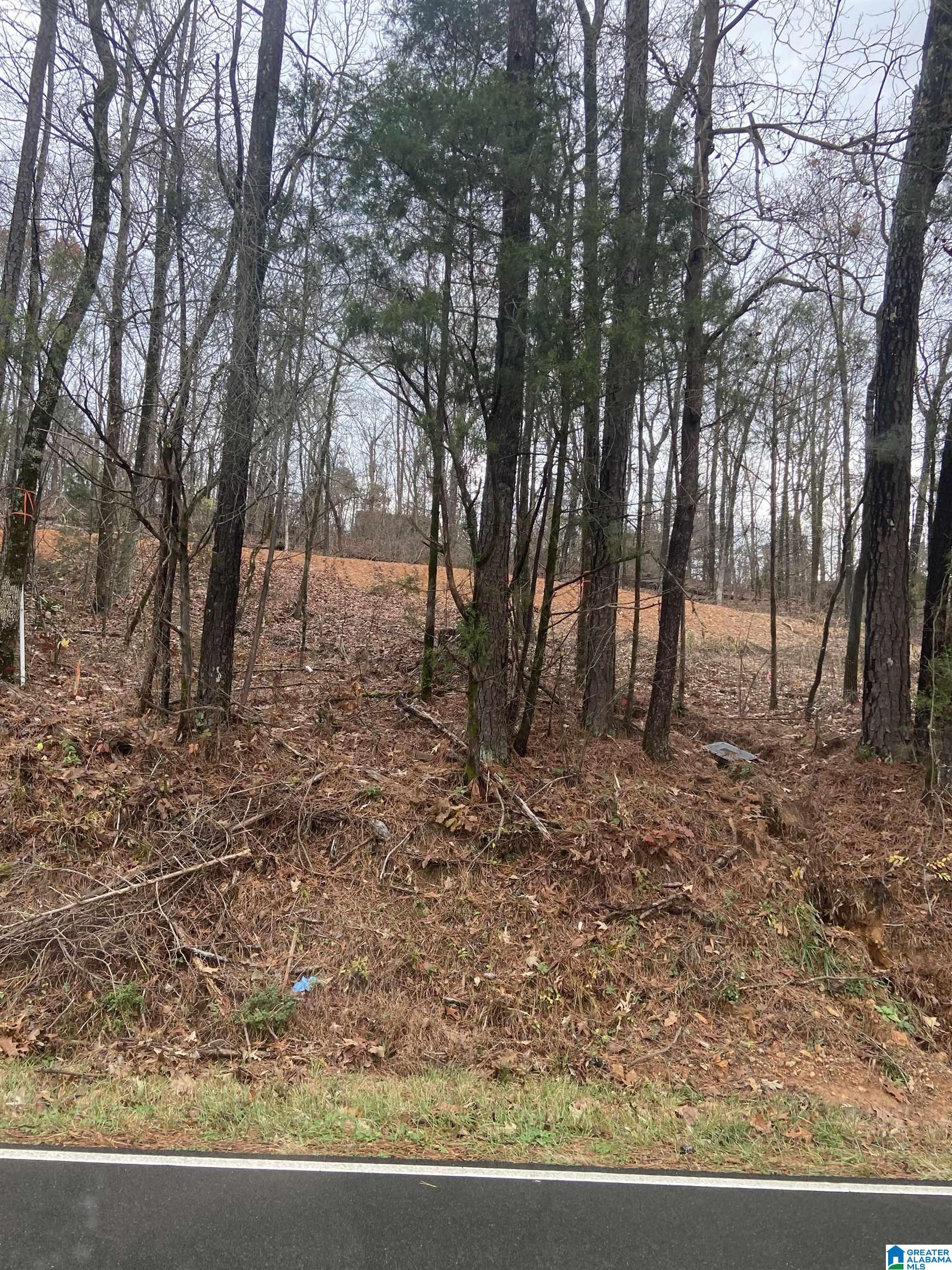 2348 Carl Jones Road Moody, AL 35004 - Photo 2 of 2