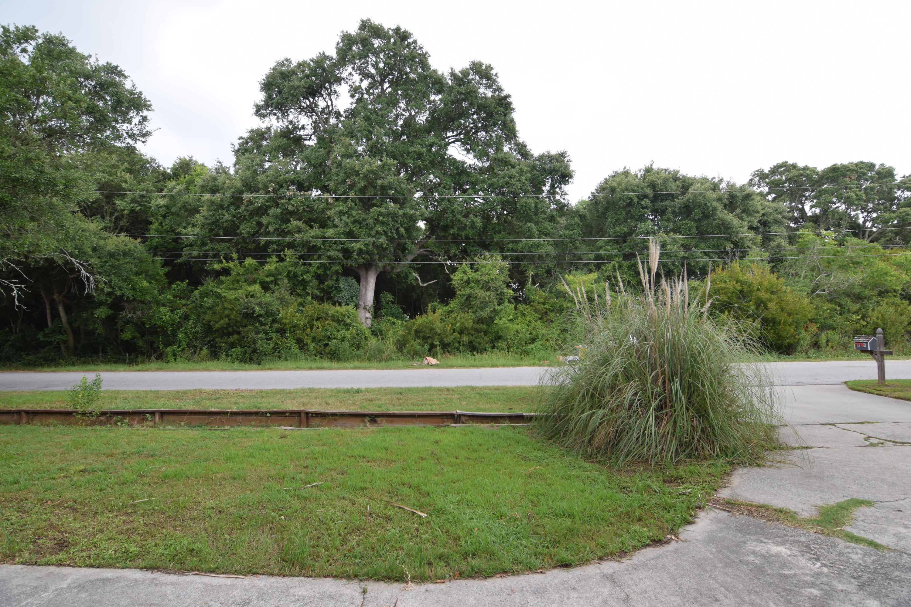 559 Schooner Road Charleston, SC 29412 - Photo 29 of 30 DSC_0264