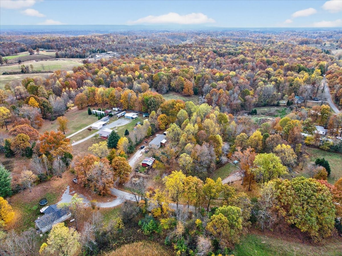 4430 Griffin Road Lynchburg, TN 37352 - Photo 3 of 48 Gallery Image 3