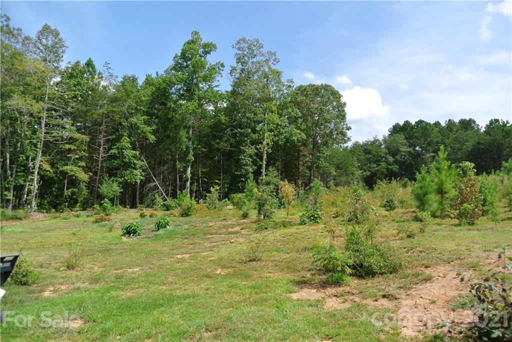 489 South Pea Ridge Road Mooresboro, NC 28114 - Photo 16 of 41 Gallery Image 16