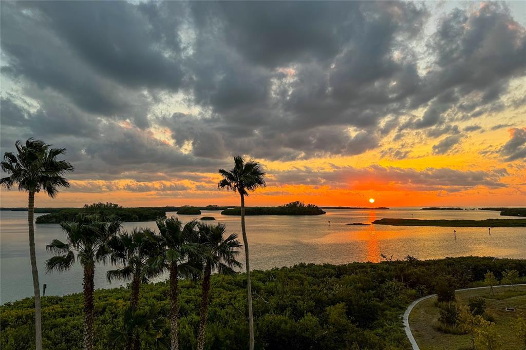 755 Collany Road, Unit 401 St. Petersburg, FL 33715 - Photo 59 of 64 Gallery Image 59