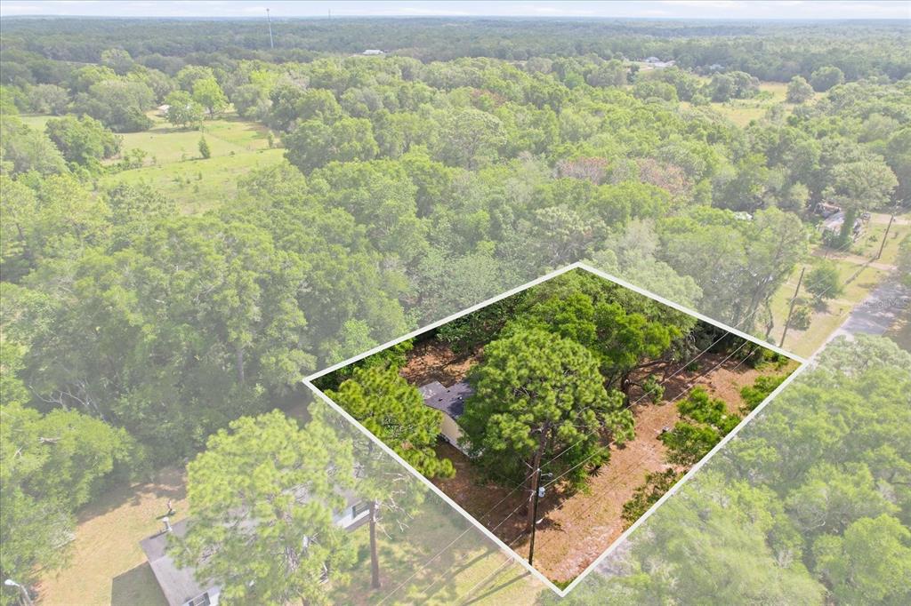 2565 East North Street Inverness, FL 34453 - Photo 38 of 42
