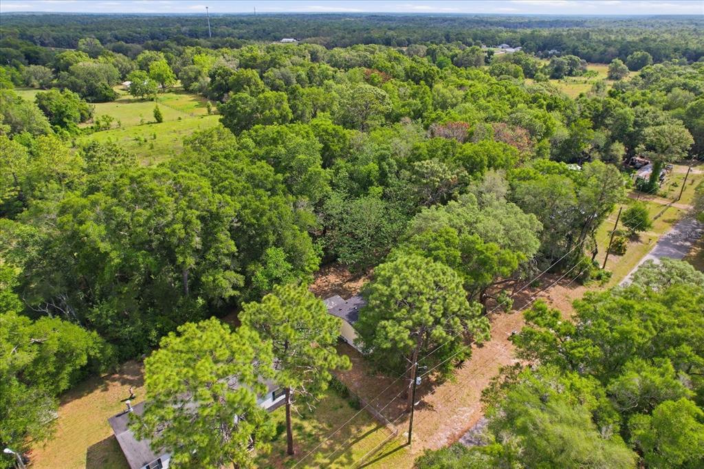 2565 East North Street Inverness, FL 34453 - Photo 42 of 42