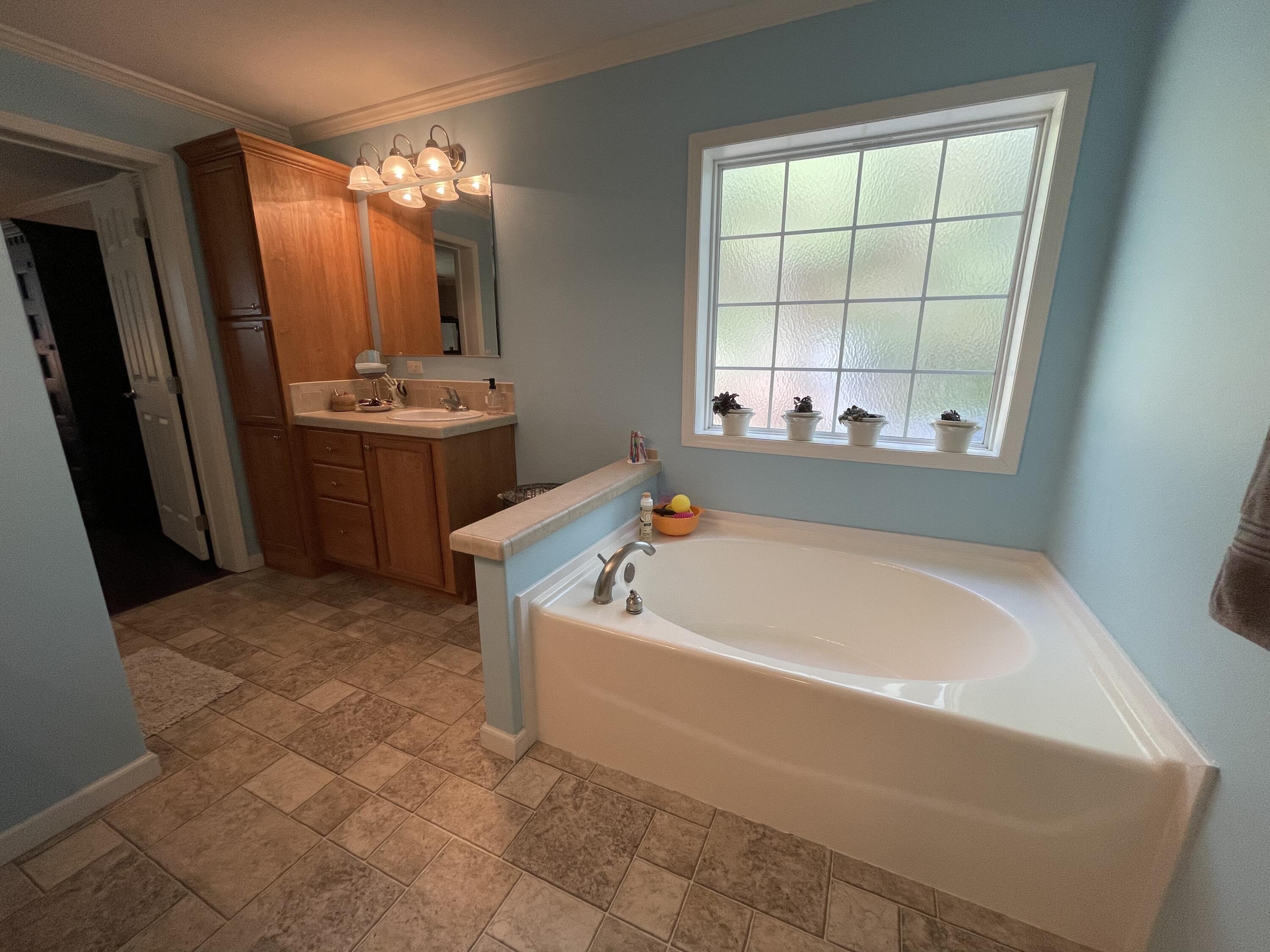 3124 County Road 252 Wellborn, FL 32094 - Photo 6 of 23 ENSUITE MASTER BATHROON - SOAKING TUB