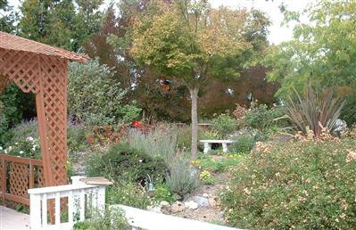 6530 Lone Pine Road Sebastopol, CA 95472 - Photo 3 of 12 a view of a house with a tree