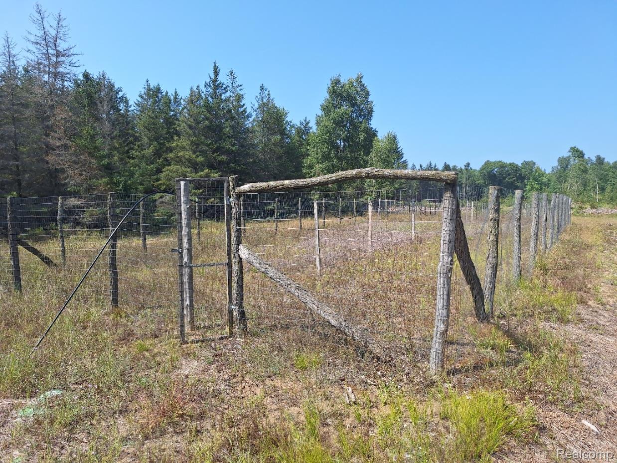 4274 River Road Manistee, MI 49660 - Photo 10 of 26 Fenced Area for Food Plot