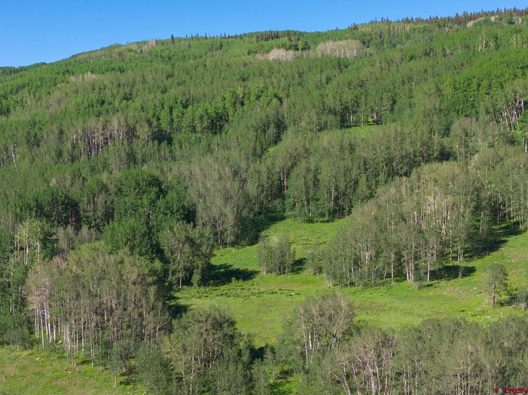 2177 Aspen Mountain Road Almont, CO 81210 - Photo 15 of 20