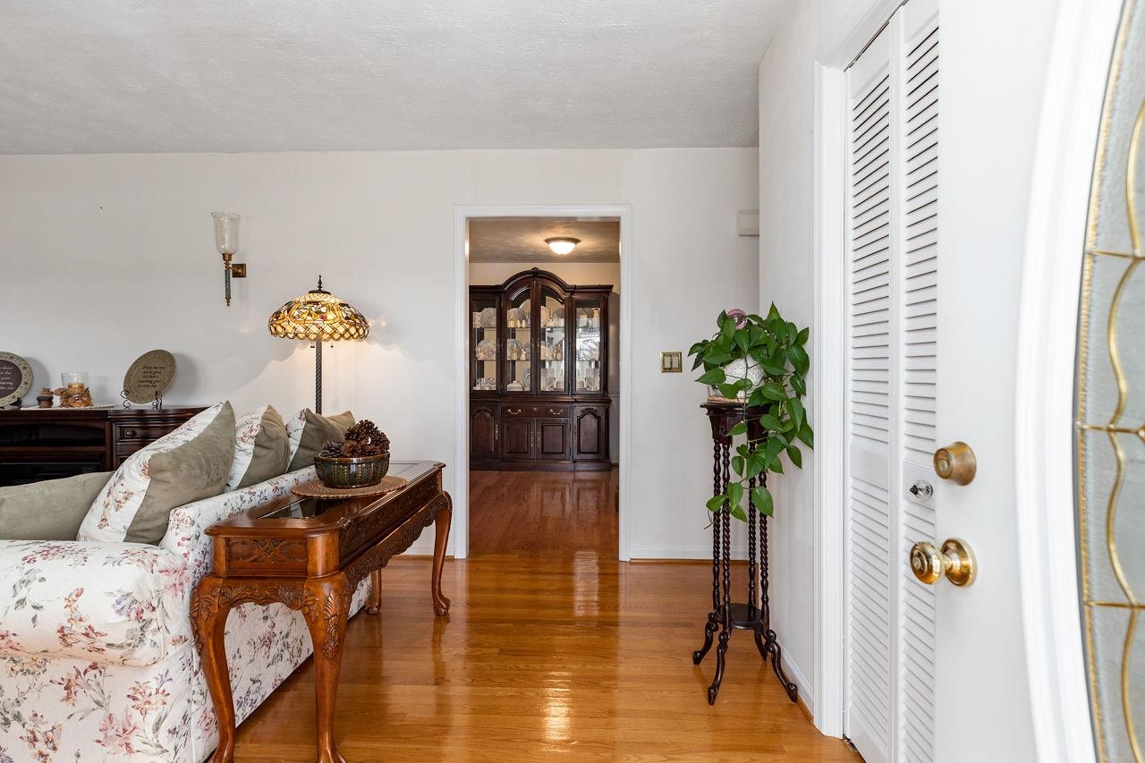58 Rolla Mill Road Verona, VA 24482 - Photo 23 of 46 a living room with furniture and a potted plant
