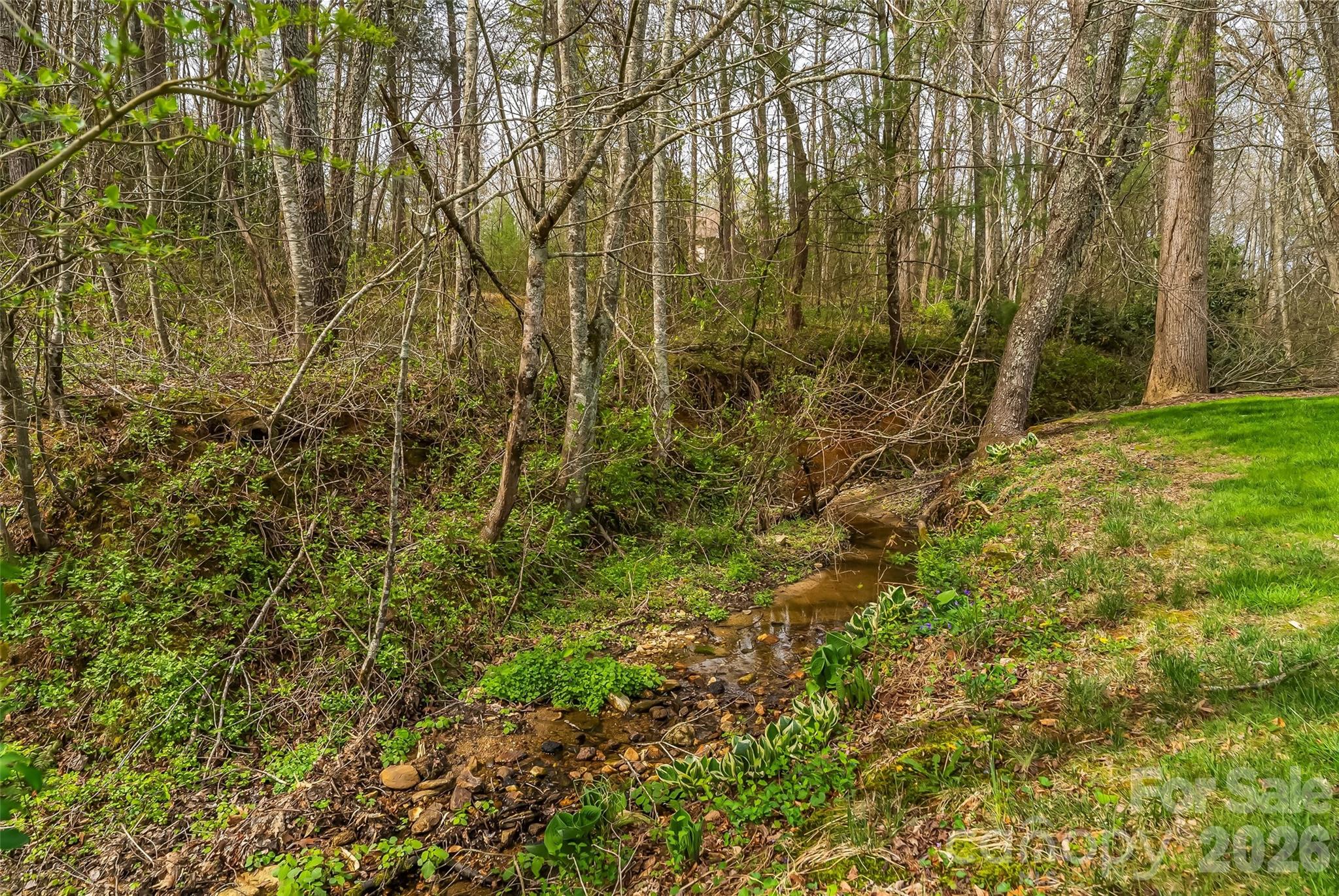 32 Denise Lane Fletcher, NC 28732 - Photo 39 of 46