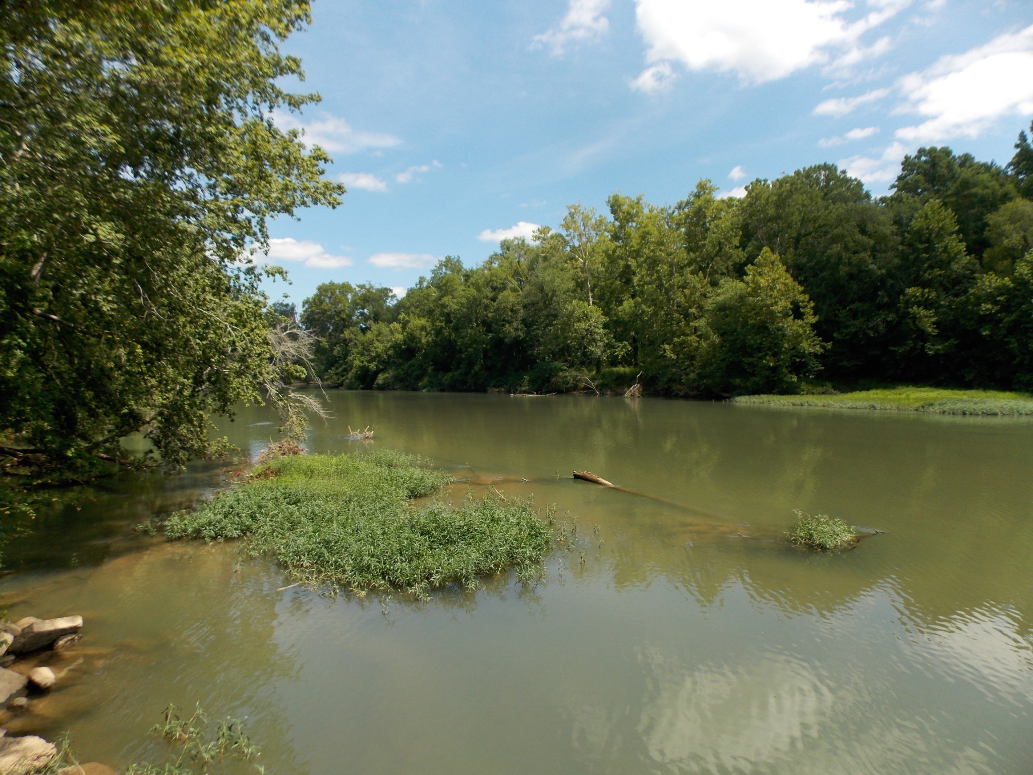 a view of a lake from a yard
