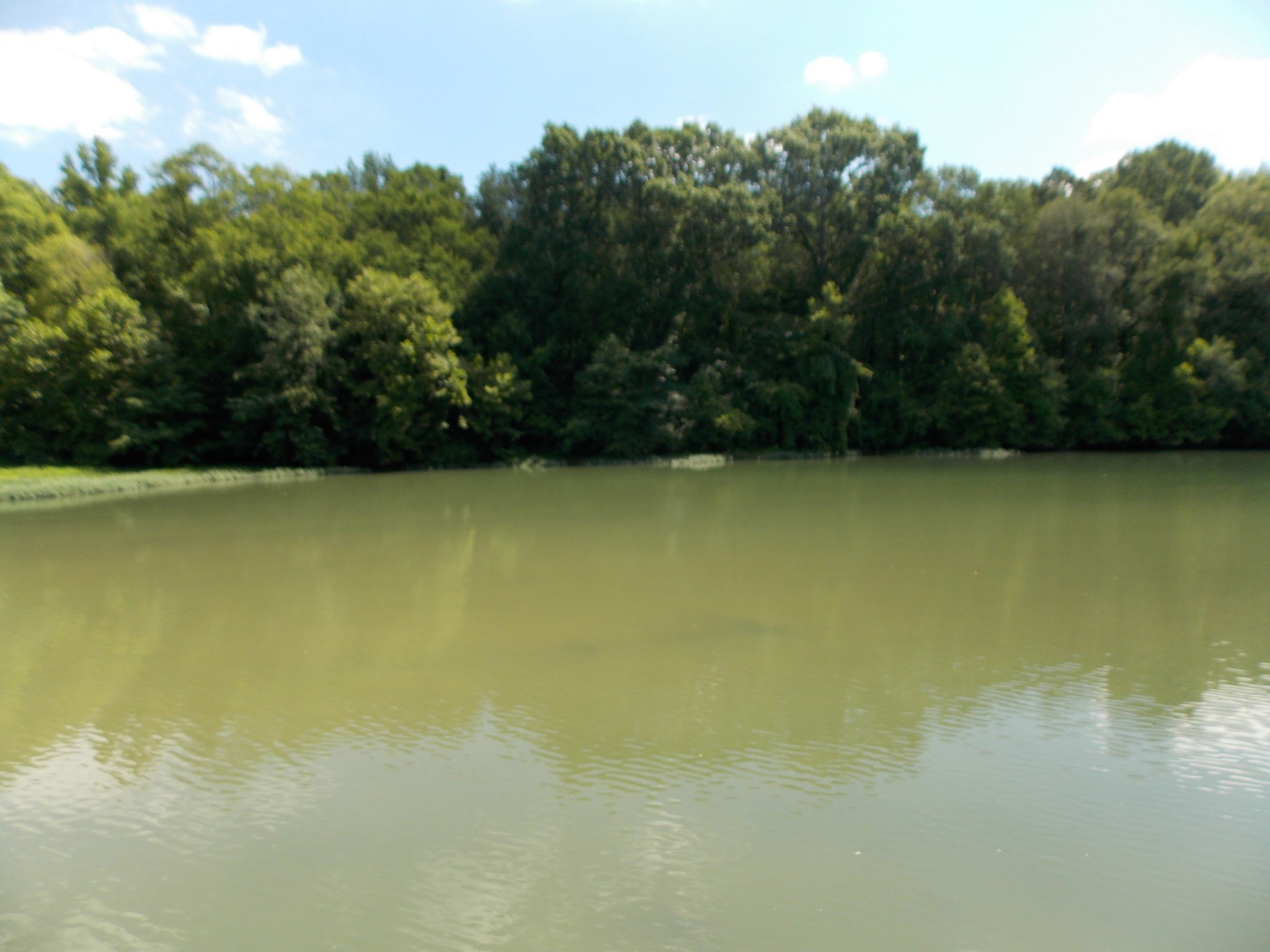 0 East Slink Shoals Road Linden, TN 37096 - Photo 3 of 4 a view of a lake view