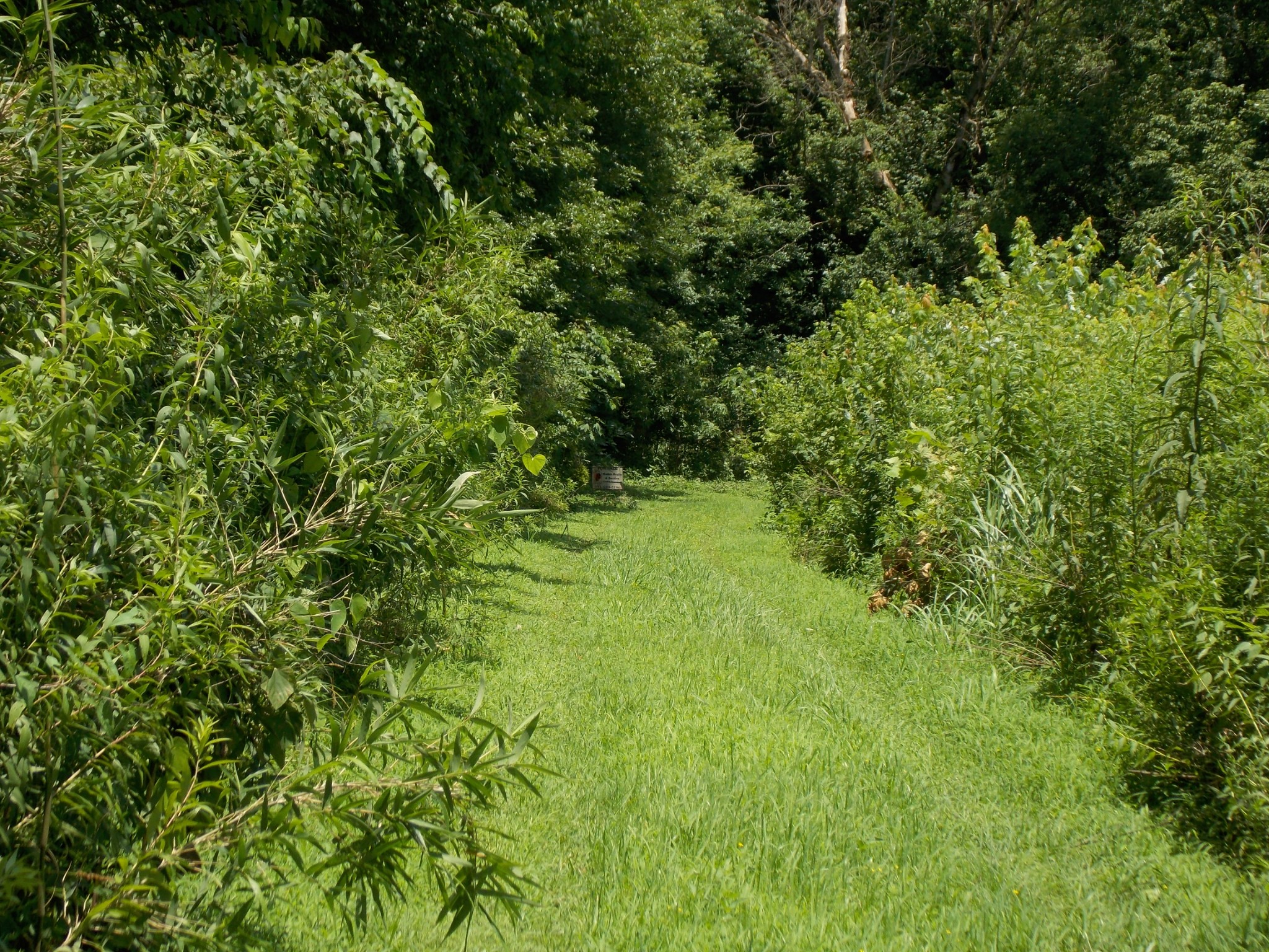 0 East Slink Shoals Road Linden, TN 37096 - Photo 4 of 4