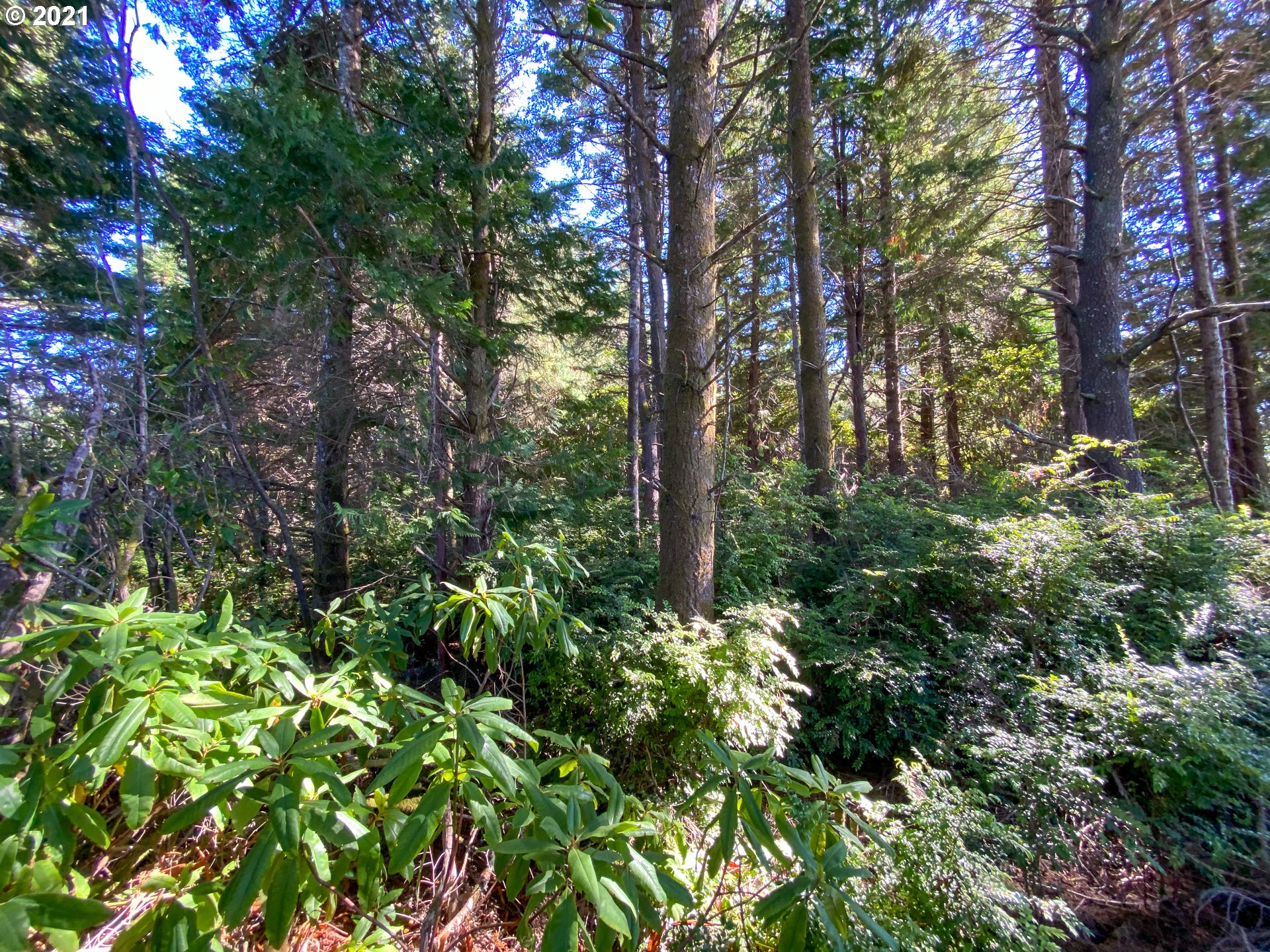 Warbler Road, Unit 402 Bandon, OR 97411 - Photo 14 of 22 Gallery Image 14