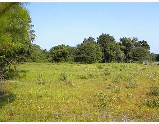 Tom Moore Road Lakeland, FL 33810 - Photo 1 of 1 View - View from paved road of the 4.78 acres