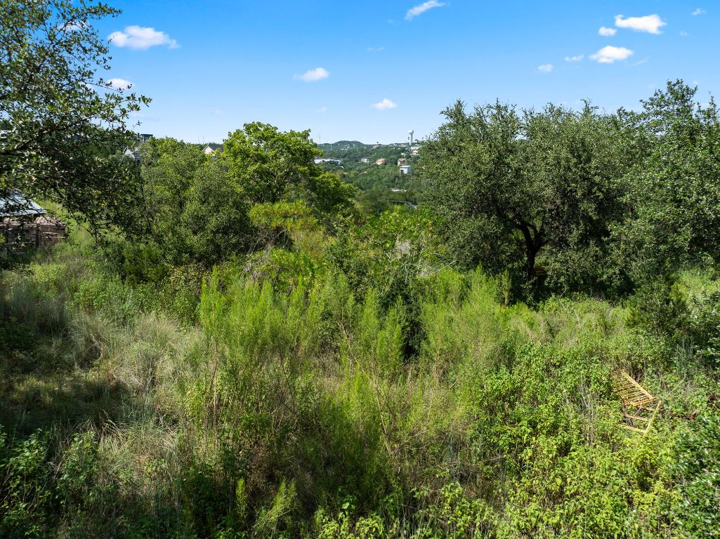 2322 Little Beaver Trail Austin, TX 78734 - Photo 5 of 39 a view of a lush green forest with lots of trees