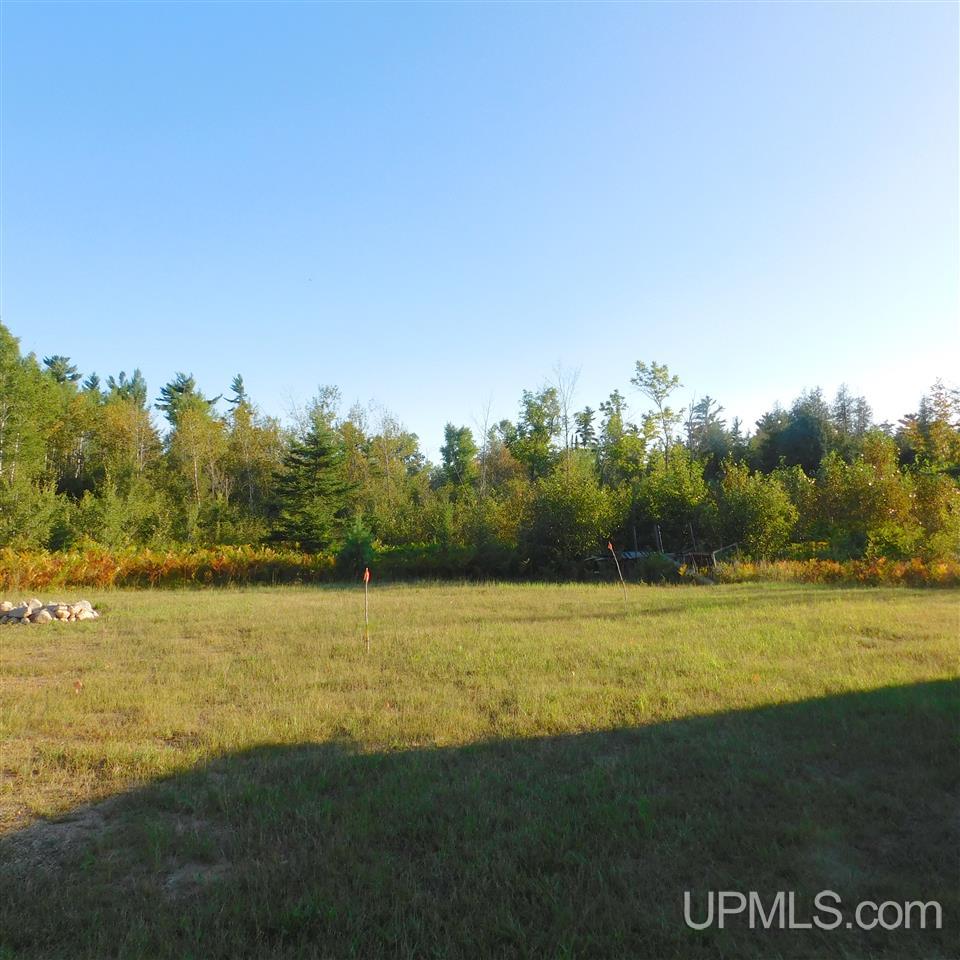 Tbd Off Murray Road Perronville, MI 49873 - Photo 18 of 27