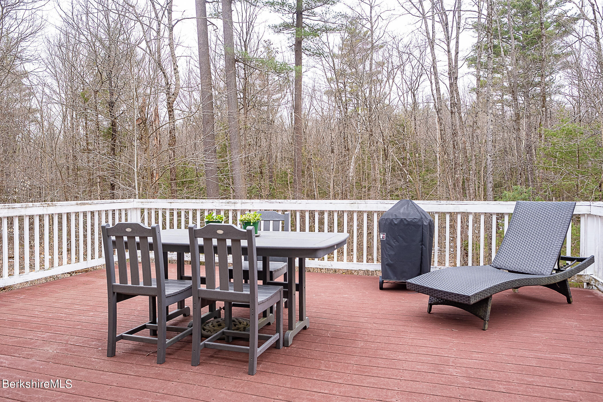481 West Center Road Otis, MA 01253 - Photo 30 of 32 woodland view